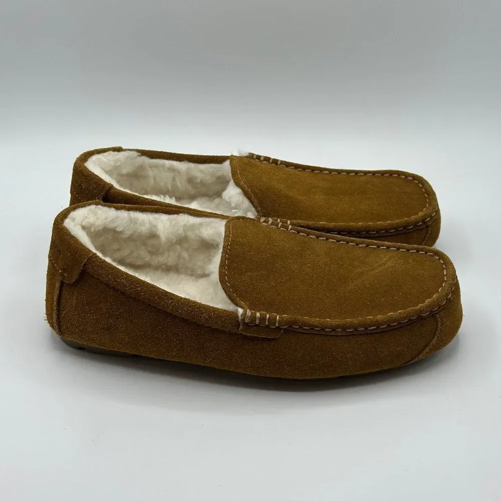 UGG new without